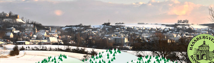 Panorama von Schlo�berg zur Wart