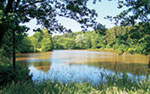 Seidenhäuser See (Foto: Norbert Schmucker) Seidenhäuser See